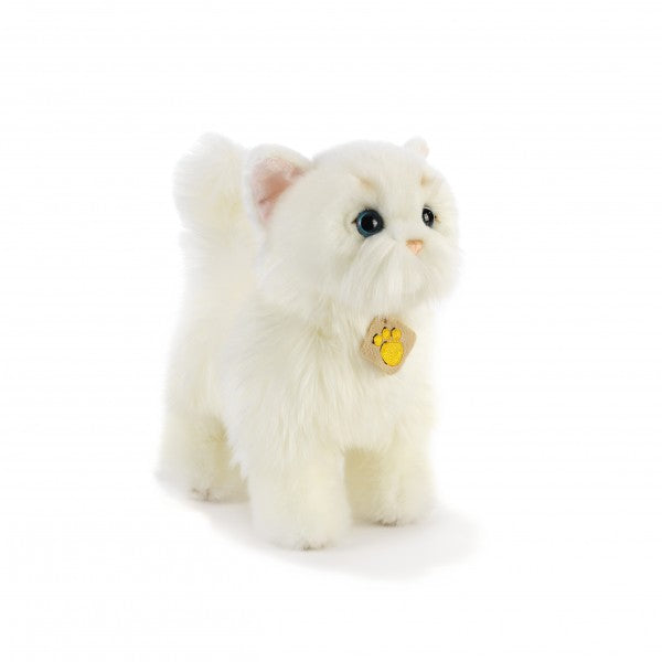 Doudou chat : chat blanc