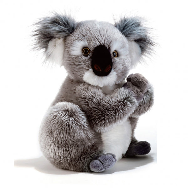 Peluche Koala géant • Ma Peluche