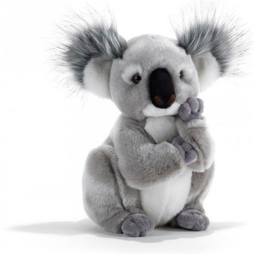 Peluche Koala WWF  La peluche géante
